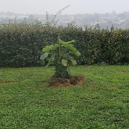 O' Pré De Beauregard Sarthe Hébergement de vacances Brûlon