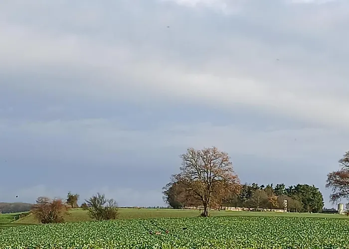 Hébergement de vacances O' Pré De Beauregard Sarthe