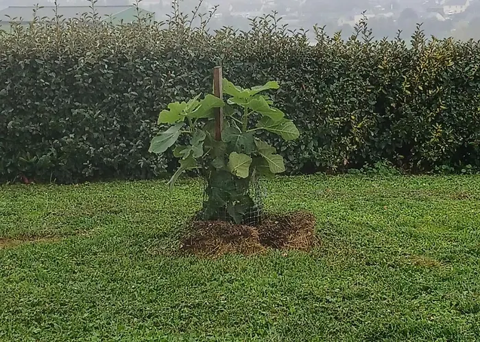 O' Pré De Beauregard Sarthe Brûlon